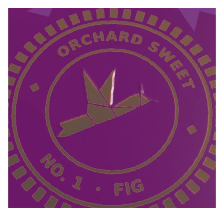 Close-up of the lark embossed inside the seal, lit from the side