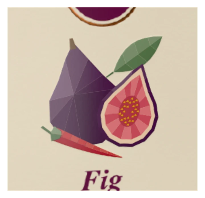 Close-up of the fig printed in raised spot UV on the matte board