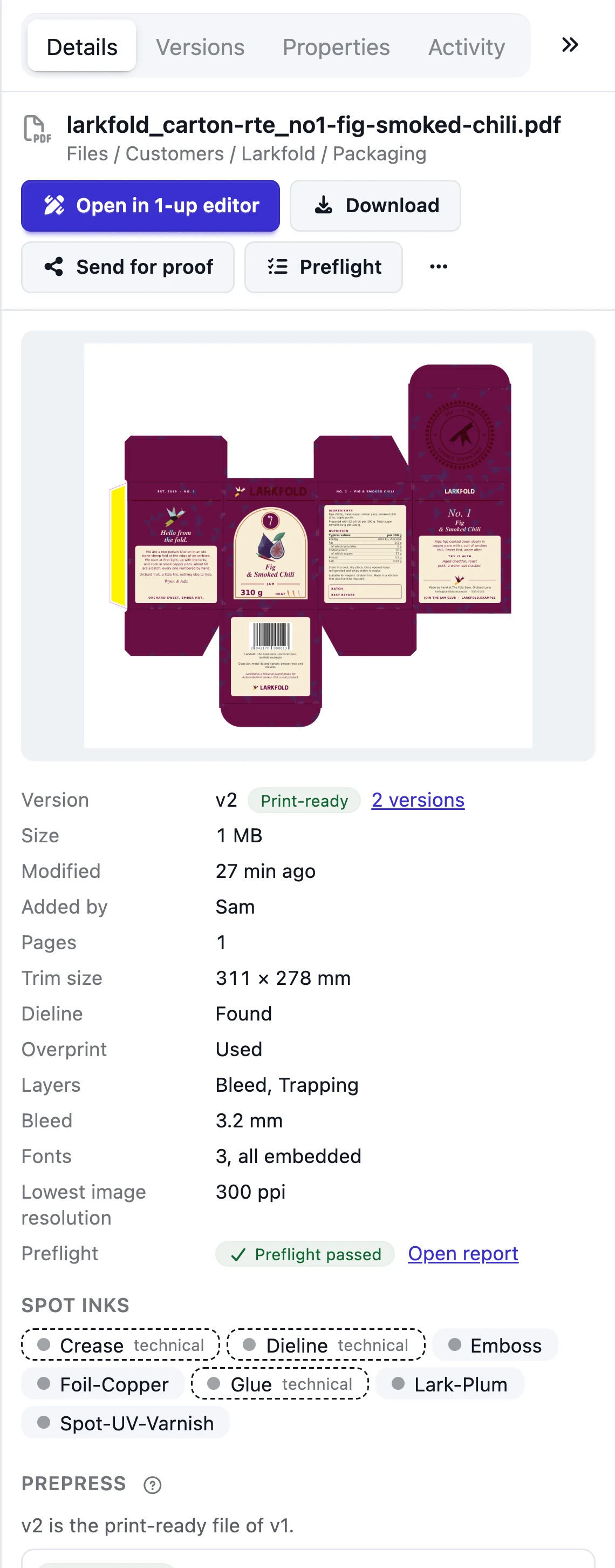 Details tab of a carton file: pages, trim size, dieline found, overprint and its spot inks